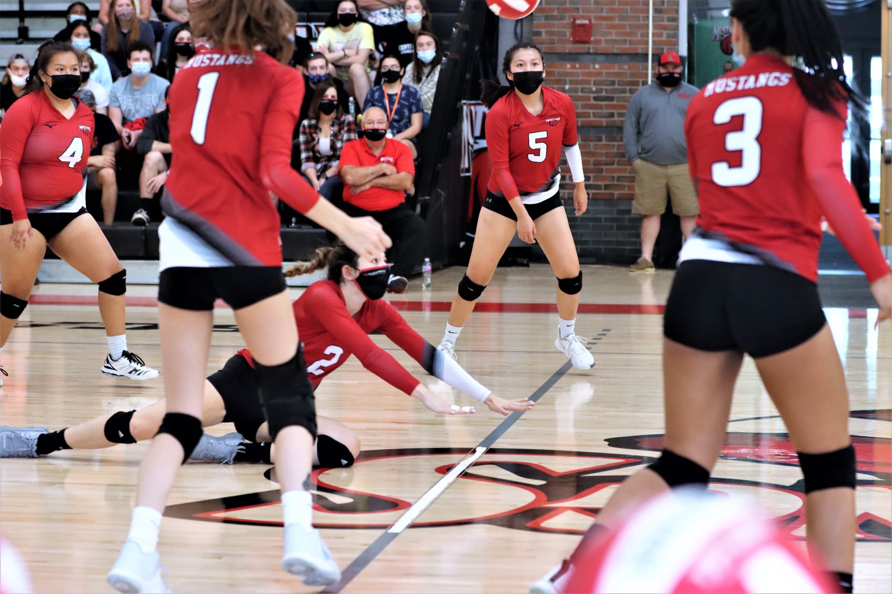 Women's Volleyball swept at home