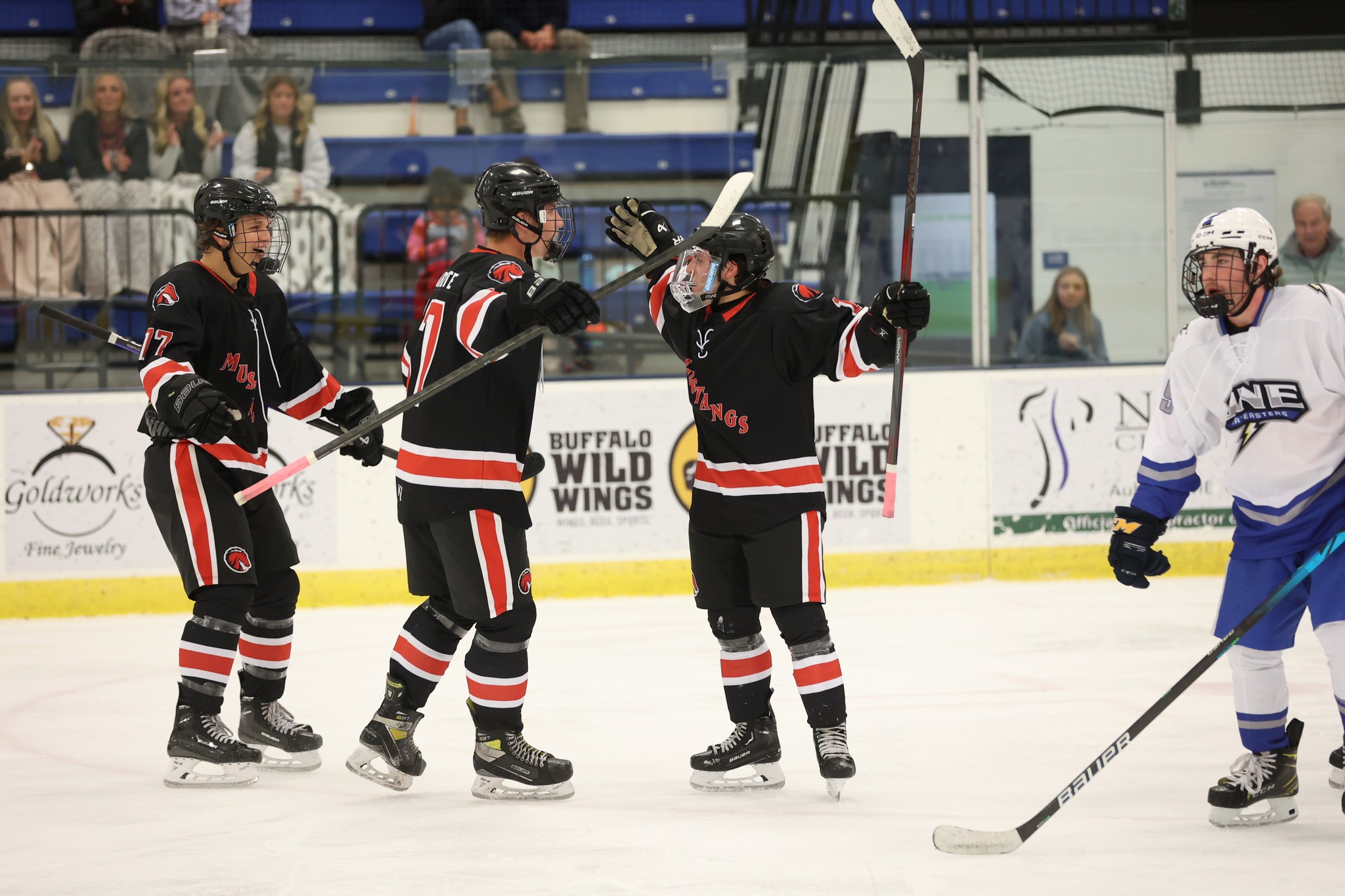 Men's Ice Hockey dominates Nor'Easters in ACHA play