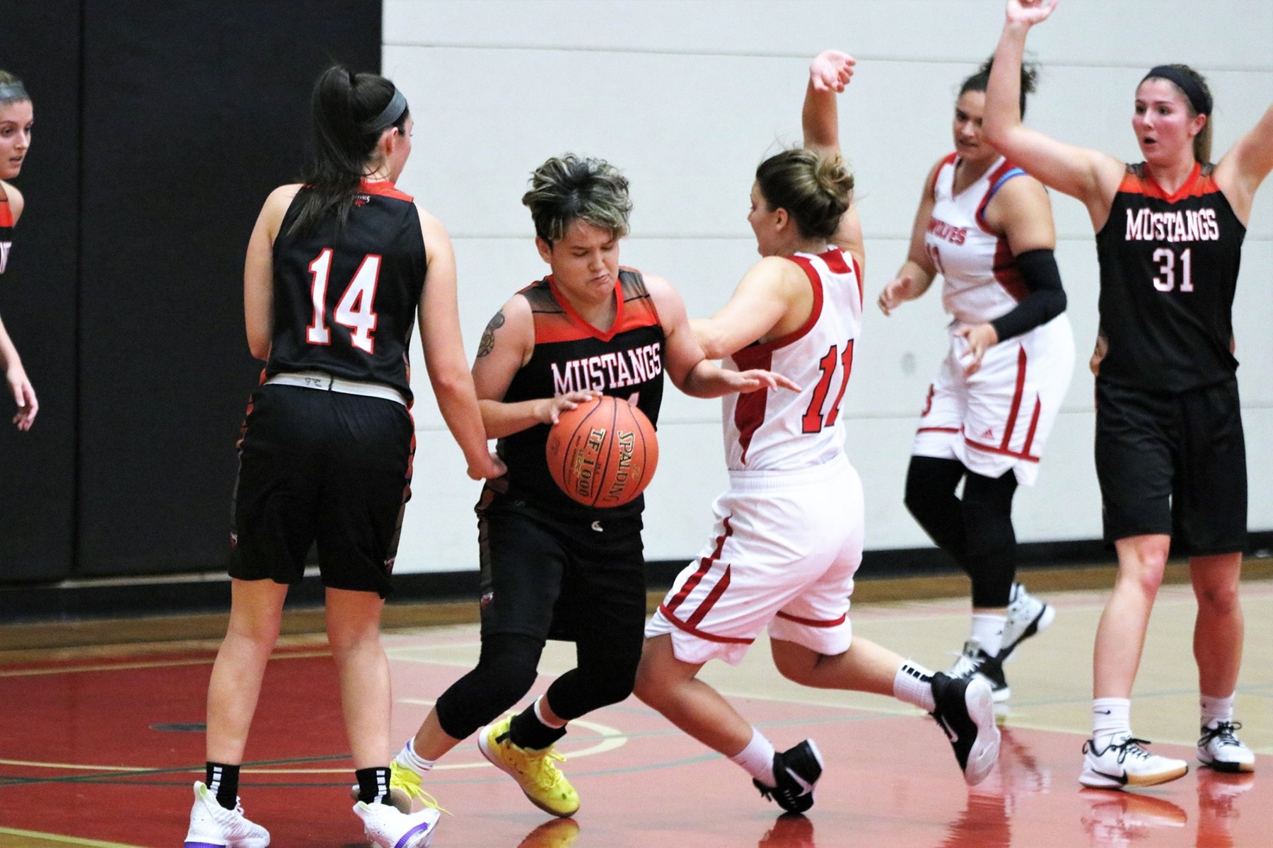 Women's Basketball caged by Bengals
