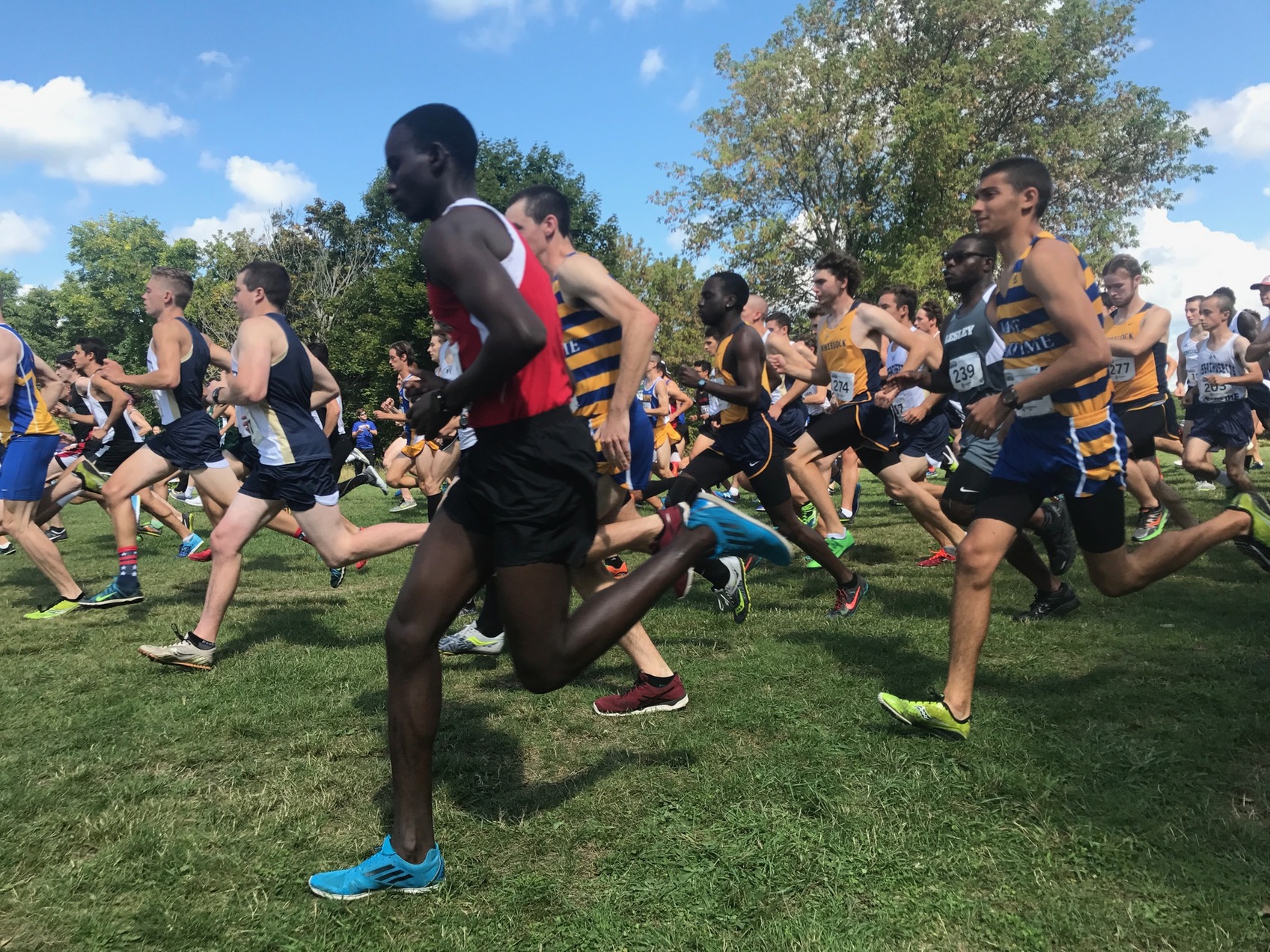 Cross Country Competes at UNE